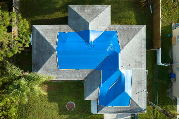 Best Roof Insulation Installation  in Huntley, IL