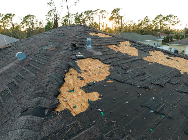 Best Skylight Installation and Repair  in Huntley, IL