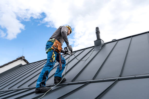Best Roof Coating and Sealing  in Huntley, IL