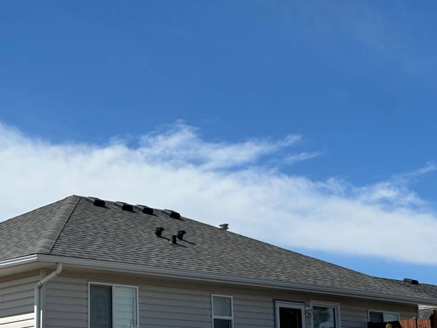 Best Metal Roofing Installation  in Huntley, IL